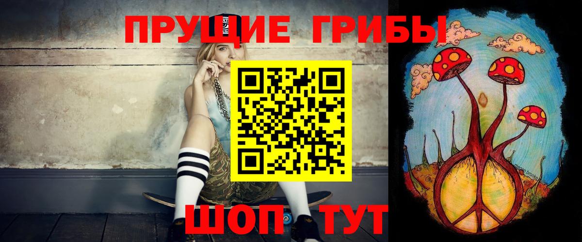 Ростов-на-Дону  Галлюциногенные грибы GOLDEN TEACHER  Вход с VPN  Псилоцибиновые грибы прущие грибы 
